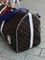 Сумка Louis Vuitton дорожная BP-14627