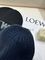 Шапка из шерсти Loewe BPLUX12551