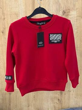 Christian Dior BP-23660 фирменная толстовка