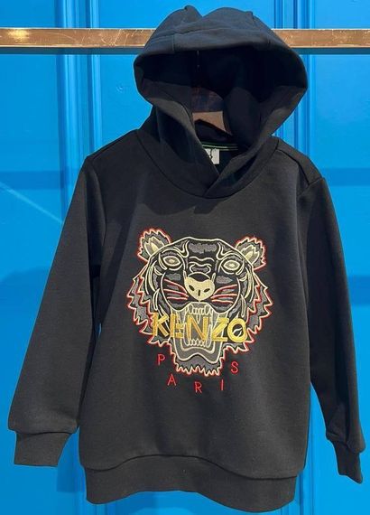 Лимитная толстовка Kenzo BP-23243