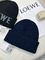 Шапка из шерсти Loewe BPLUX12428