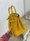 Коллекционная сумка Birkin, 25 см, PHW Jaune Ambre Hermes BP-29490