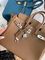 Премиум женская сумка Birkin 25 Togo Hermes BP-18147