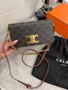 Коллекционная женская сумка Celine BP-49189